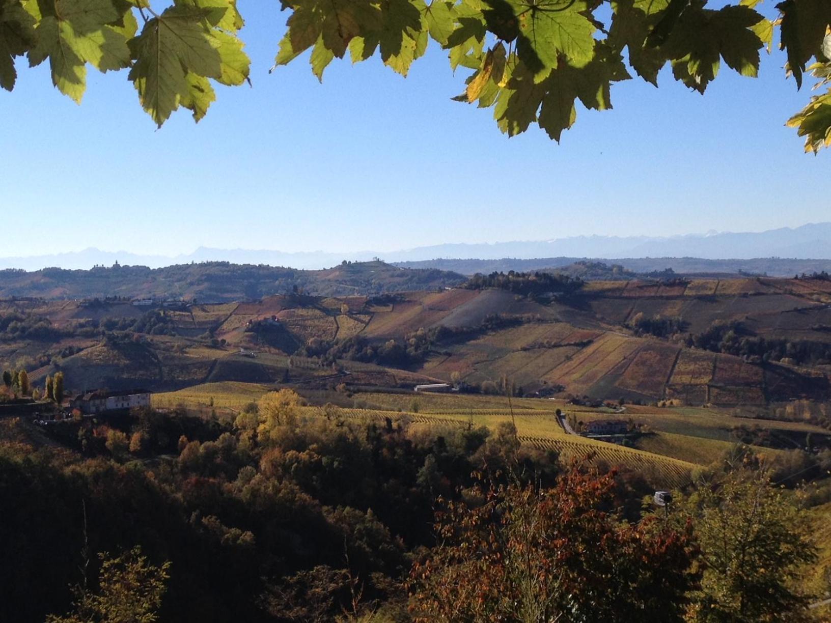 Viasavona46 Nel Cuore Delle Langhe Треїзо Екстер'єр фото